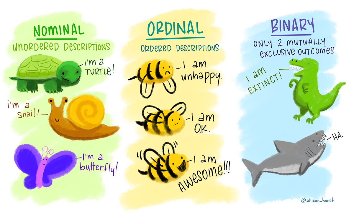 Visual representations of nominal, ordinal, and binary variables. Left: Nominal (ordered descriptions) with illustrations below of a turtle, snail, and butterfly. Center: Ordinal (ordered descriptions) with illustrations below of three bees - one looks unhappy (saying 'I am unhappy'), one looks ok (saying 'I am OK'), and one looks very happy (saying 'I am awesome!'). Right: Binary (only 2 mutually exclusive outcomes), with below a T-rex saying 'I am extinct' and a shark saying 'HA.'