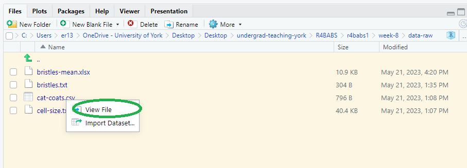 Rstudio Files pane showing the data files and the View File option that appears when you click on the a particular file