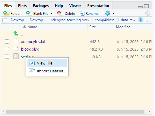 screenshot of RStudio showing the View File option that appears when you click on the a particular file