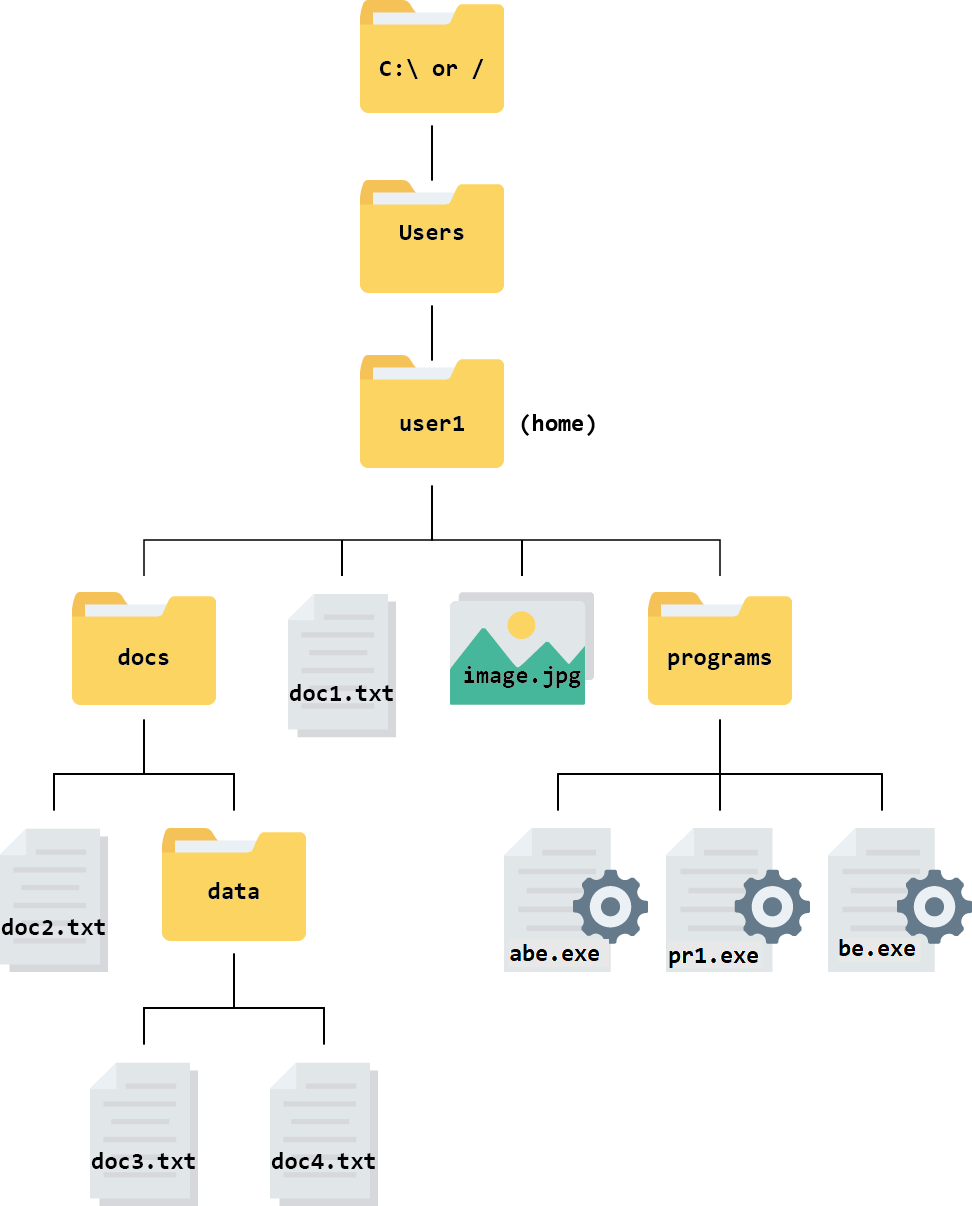 The hierarchy from the root - the top level is C: in Windows and / in Mac. Below that is the Users directory which has a folder for each user. Your home directory is named with your username inside the Users folder.