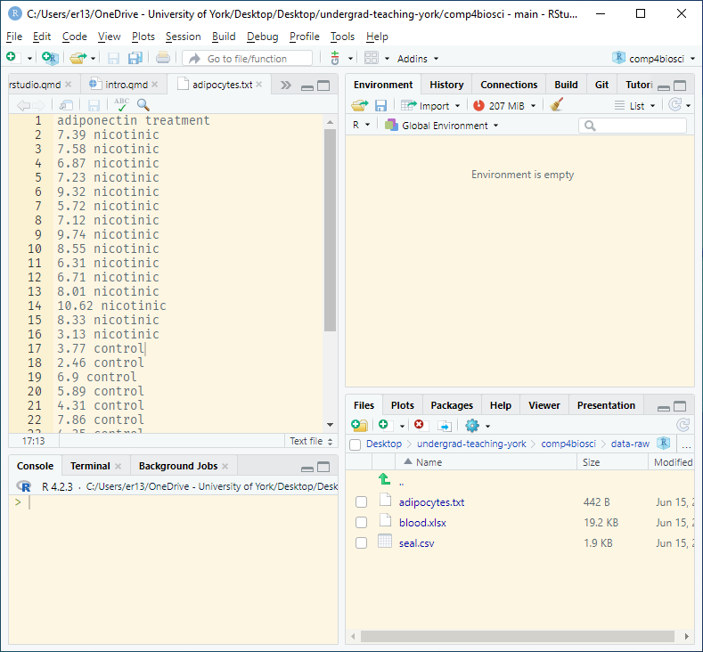 screenshot of RStudio showing the data file open