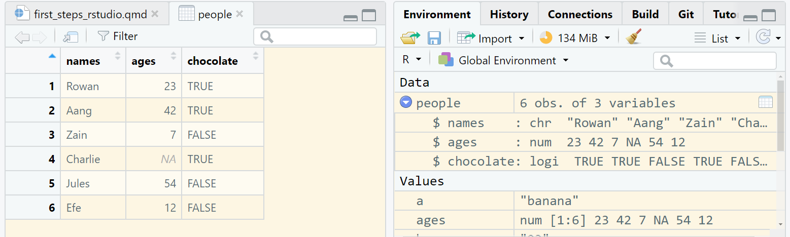 screenshot of the dataframe Viewer showing the people dataframe