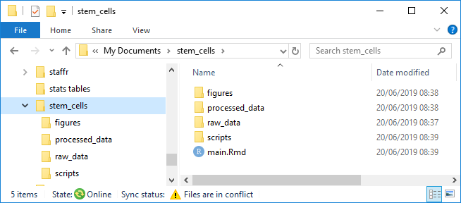 a folder called stemcells with 4 subfolders - figures, processed data, raw data and scripts