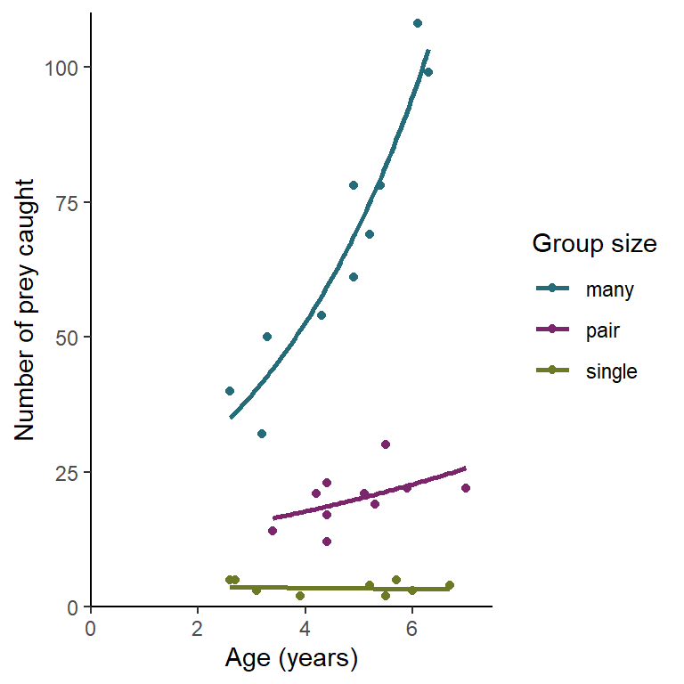 The effect of age and group size on the number of prey items caught by an individual. The line gives predictions for a GLM with Poisson distributed errors.