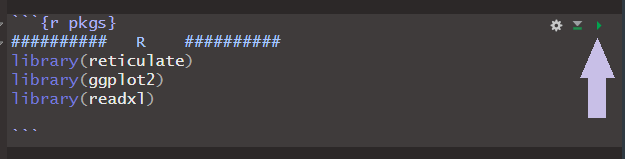 r pkgs code chunk with the run code green arrow on the right indicated